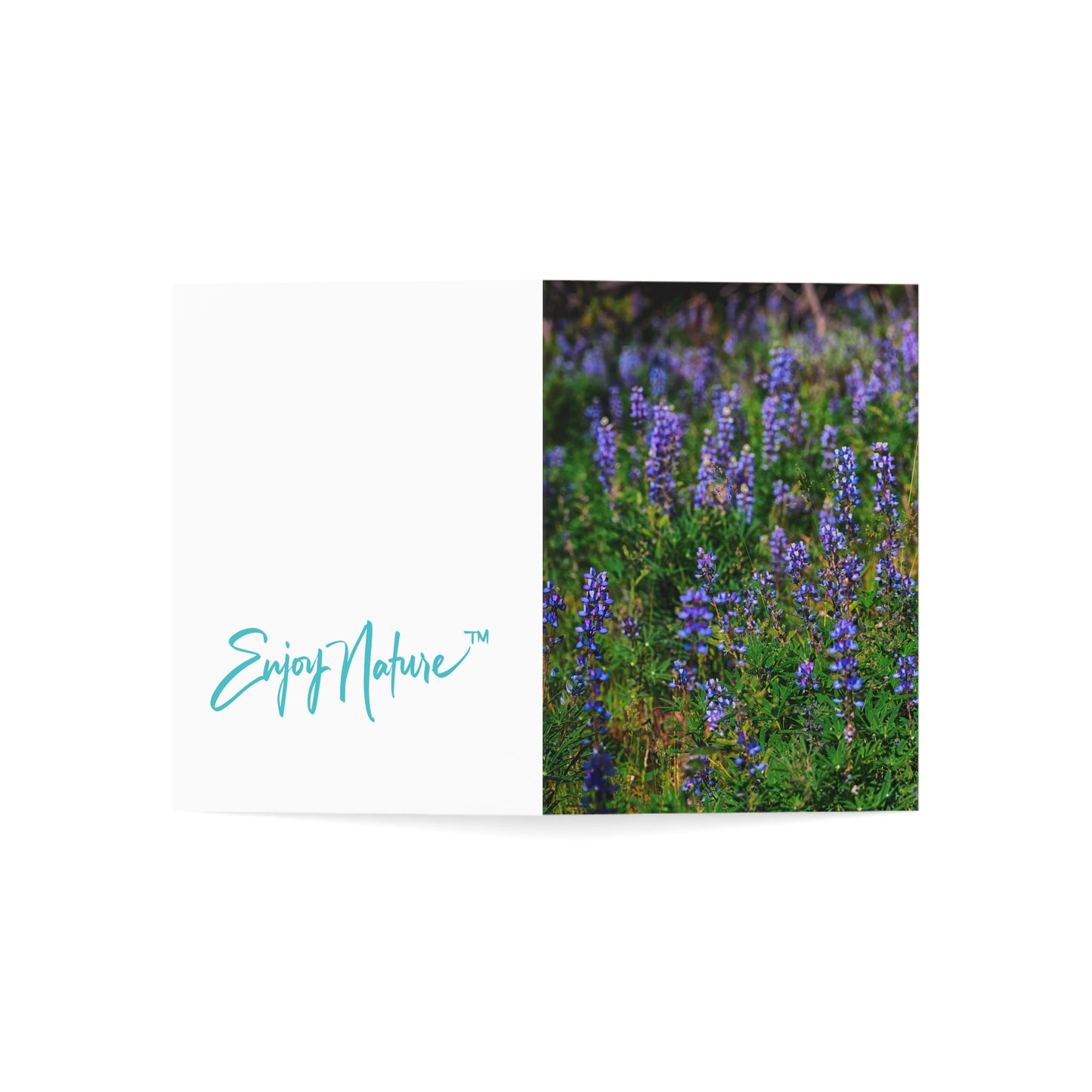 Enjoy Nature Collection – Wild Purple Lupines Greeting Cards | 5x7 Note Card Sets of 10, 30, 50 | Eco-Friendly Gifts for Nature Lovers