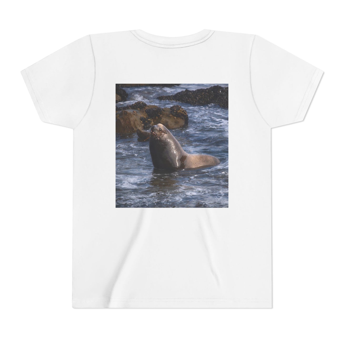 Youth T shirts Young Sea Virtuoso Sea Lion, t shirts for kids, inspired by nature