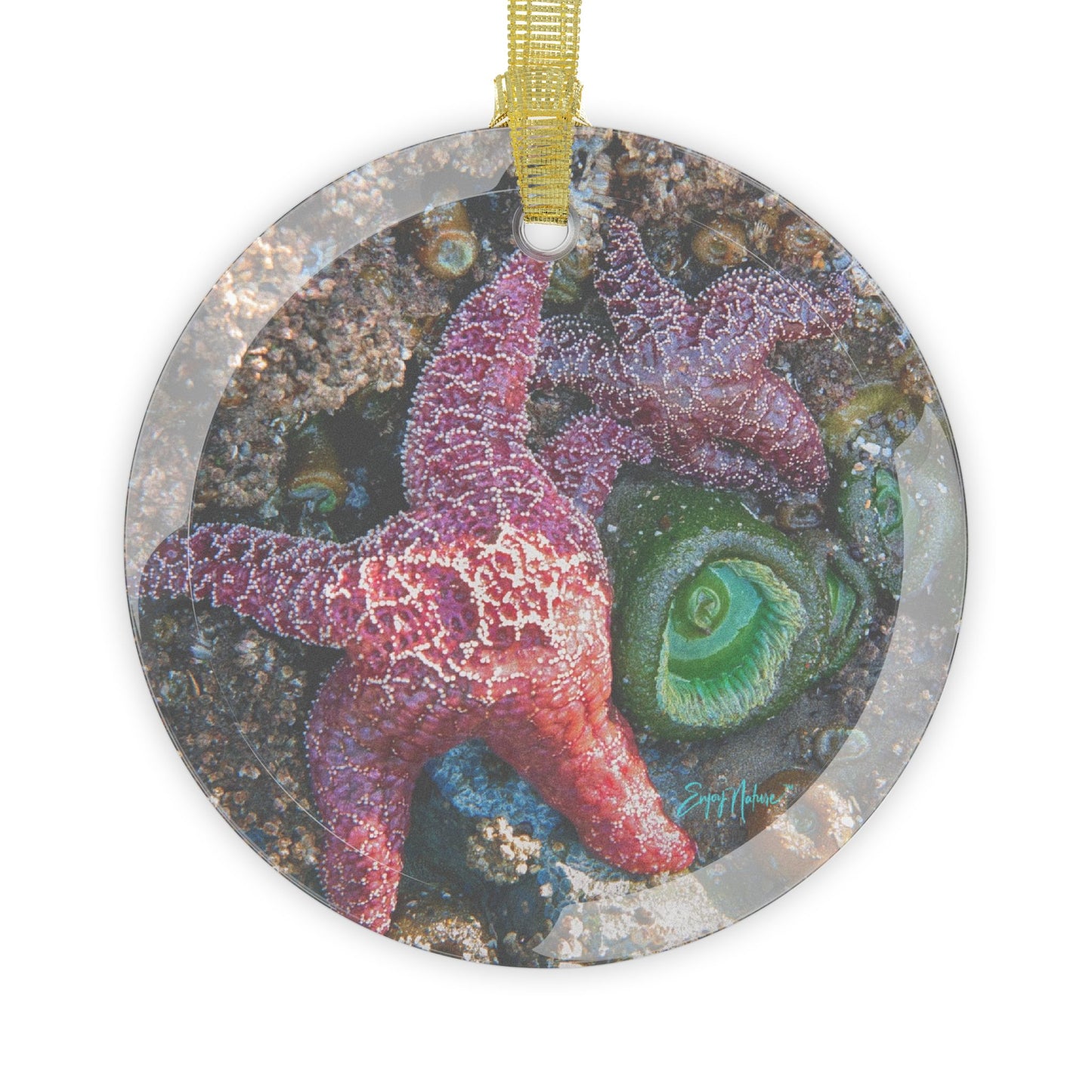 Marine Life Starfish Glass Ornament – Coastal-Inspired Elegance in Glass