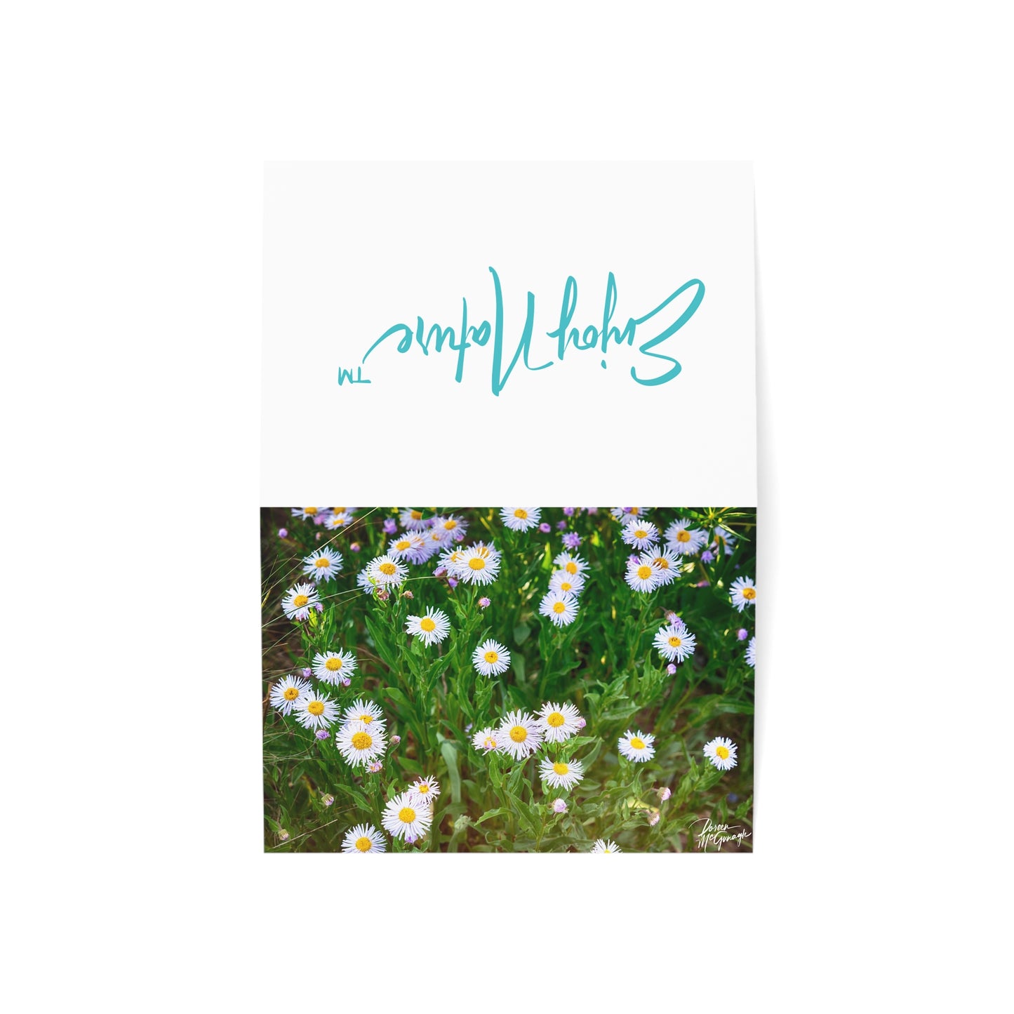 Floral Wild Daisies Greeting Cards | Eco-Friendly Nature-Inspired 5x7 Note Card Set of 50 | Perfect for Birthdays, Thank You & Everyday Messages