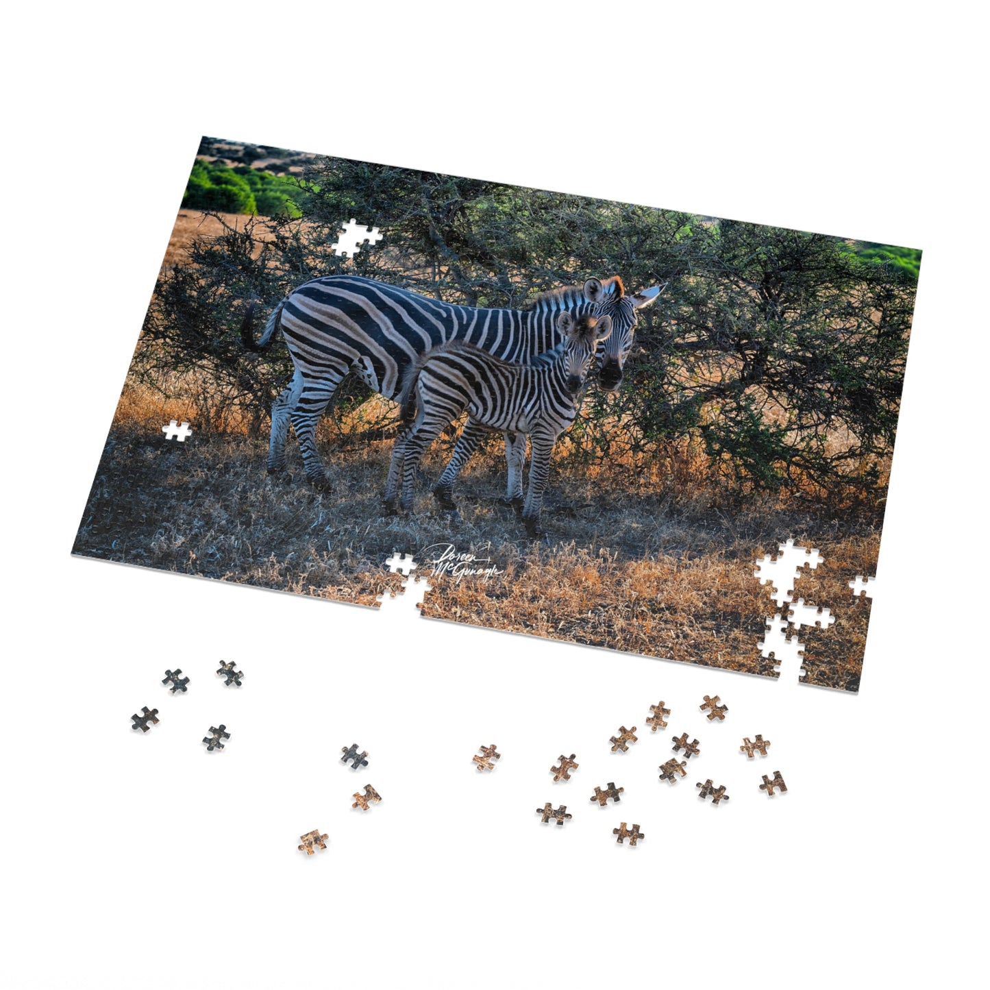 Zebra Stripes Jigsaw Puzzle by Enjoy Nature
