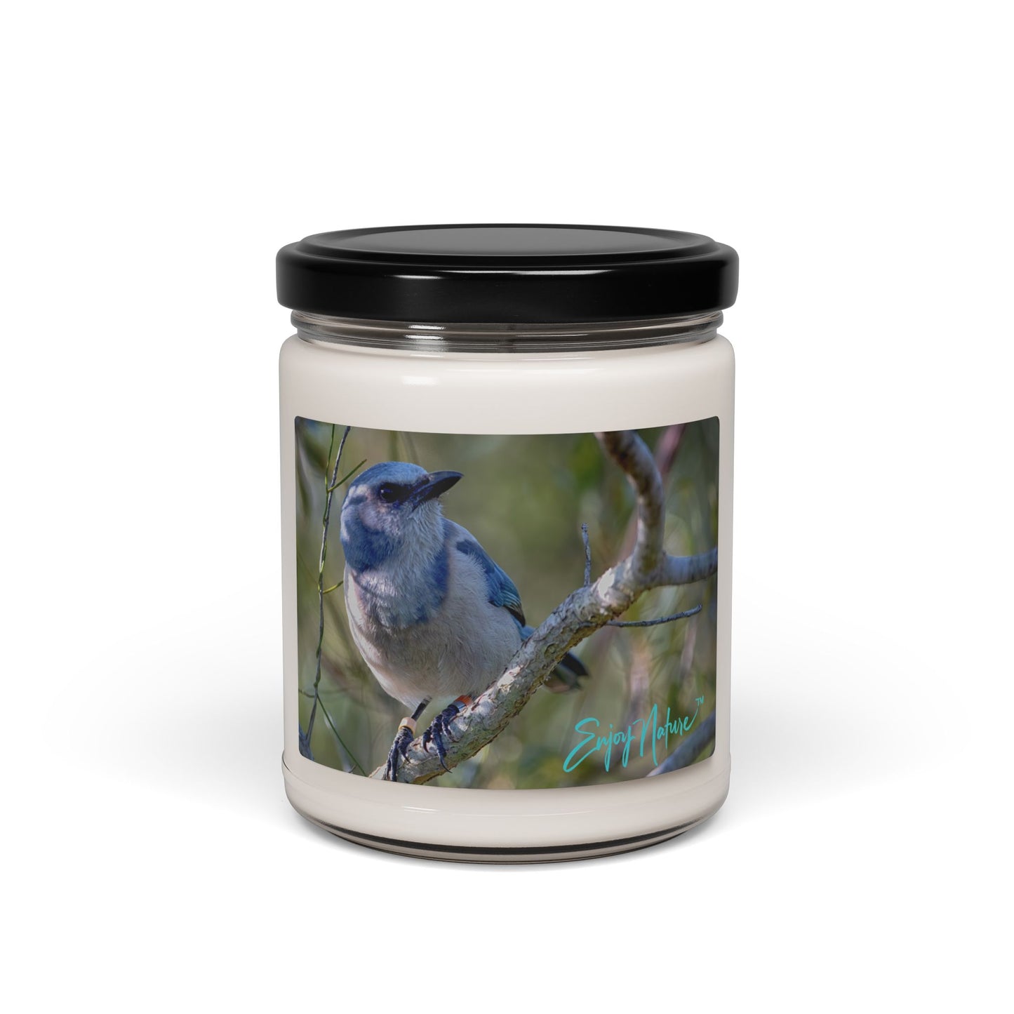 Scrub Jay Scented Soy Candle – Eco-Friendly Aromatherapy in Reusable Glass Jar | Enjoy Nature Collection