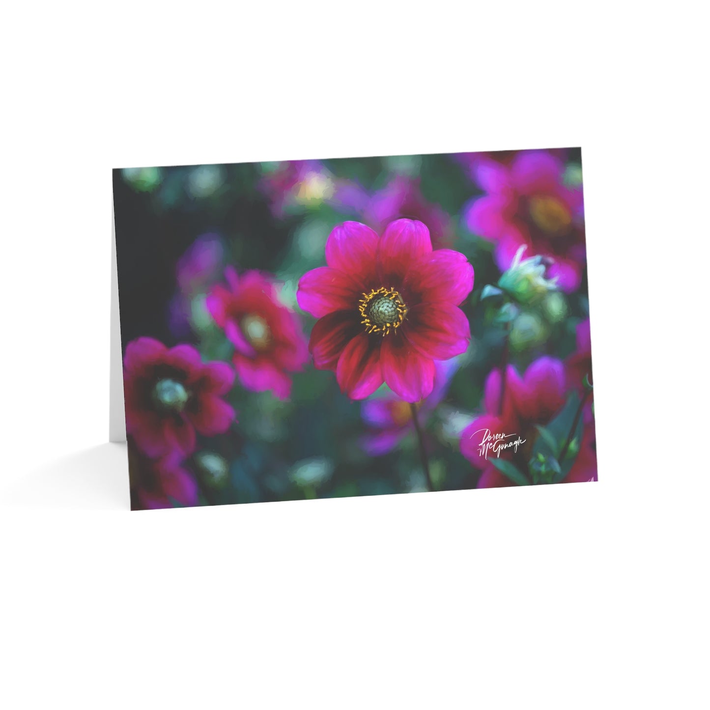 Heart of Dahlia Dreams – Nature-Inspired Greeting Card Set (30 Pack)