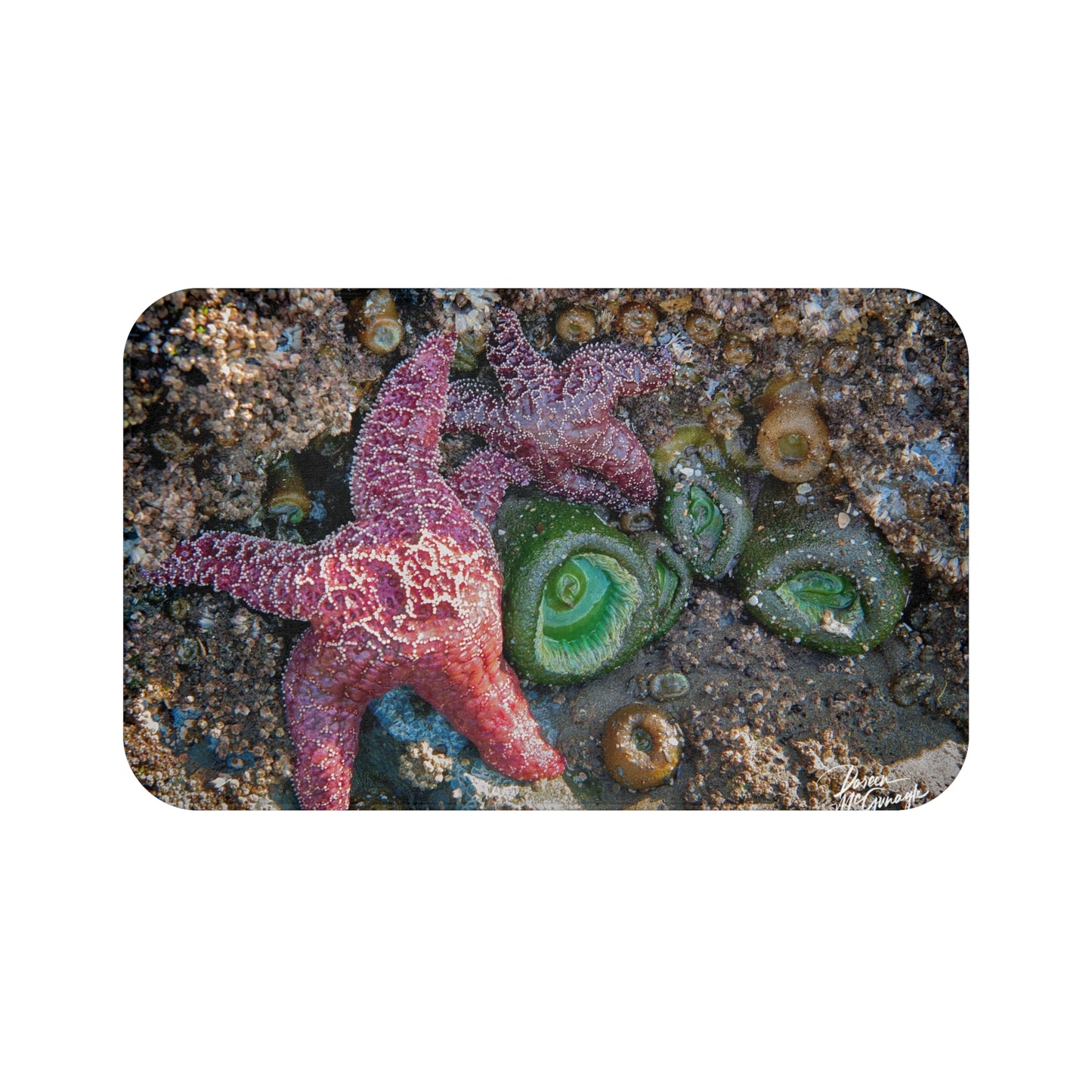 Bath Mat: Whispers of the Sea’s Mosaic – Coastal-Inspired Serenity