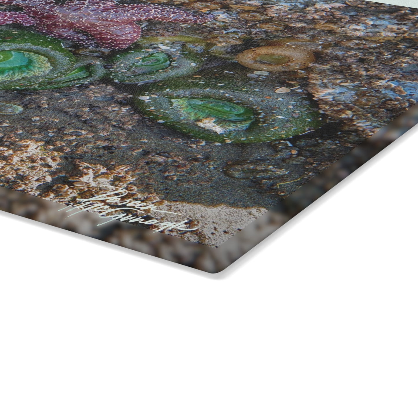 Ocean-Themed Marine Life Glass Cutting Board – Coastal Kitchen Elegance