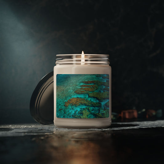 Ocean Reef Scented Soy Candle — 9 oz Tropical Sea Breeze Jar Enjoy Nature | Spirited Design Studio