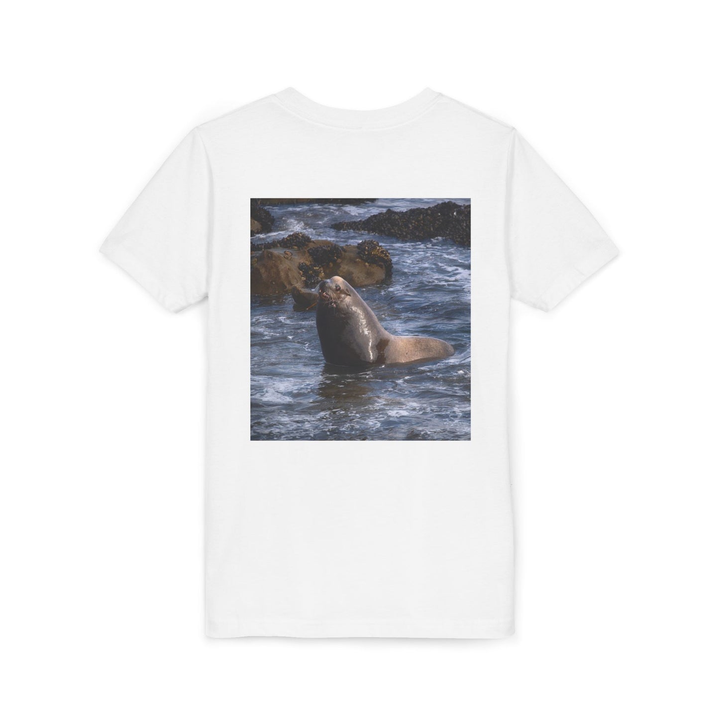 Youth T shirts Young Sea Virtuoso Sea Lion, t shirts for kids, inspired by nature