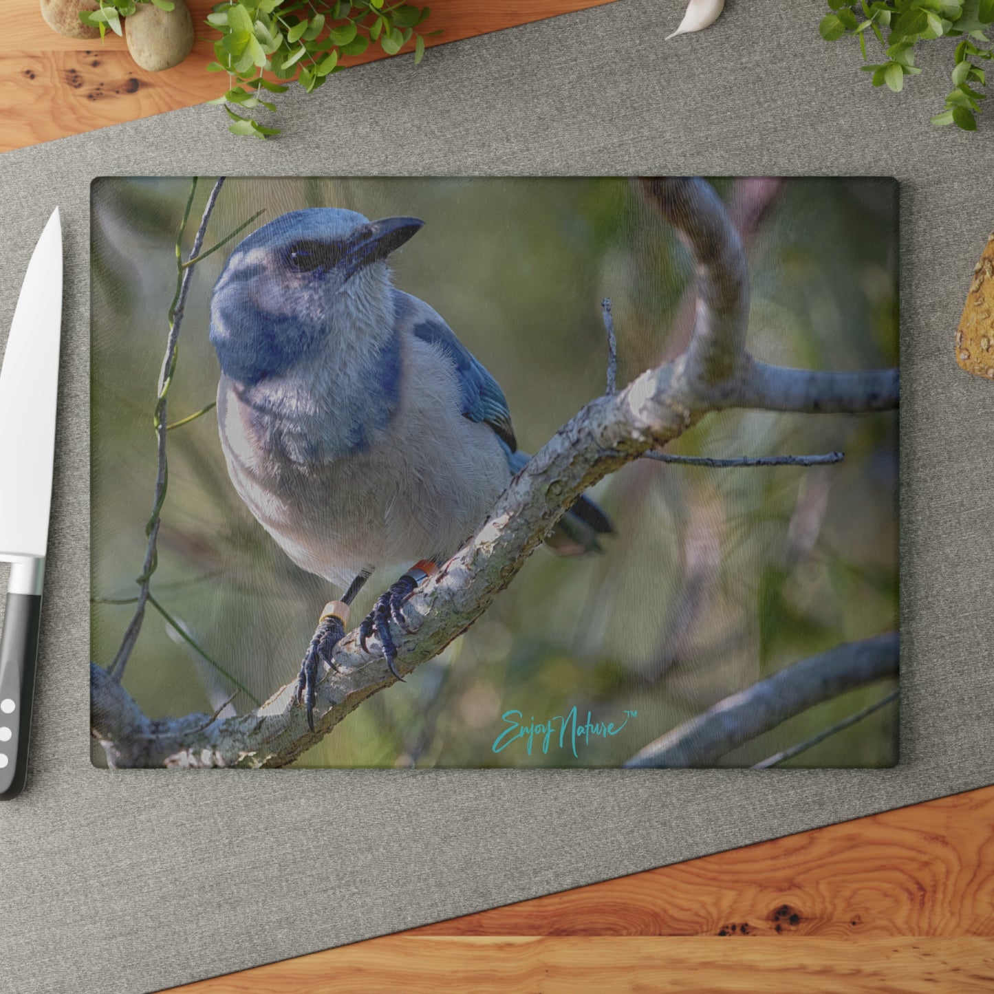 Scrub Jay Glass Cutting Board – Vibrant Florida Wildlife Kitchen Decor | Enjoy Nature Collection