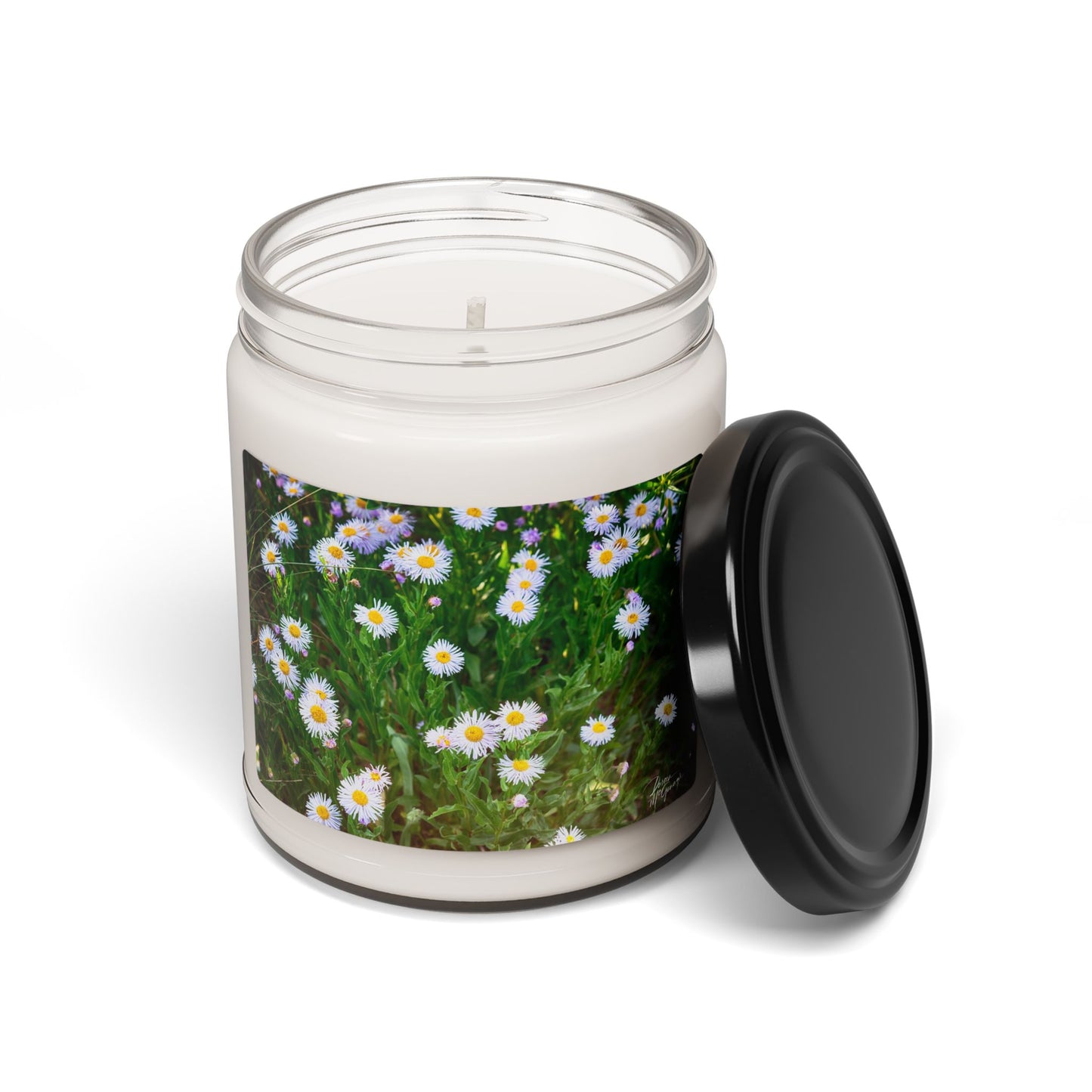 Floral Breeze of Wild Daisies Soy Candle, Aromatherapy Candle, Home Decor, Relaxation Gift, Eco-friendly Gift