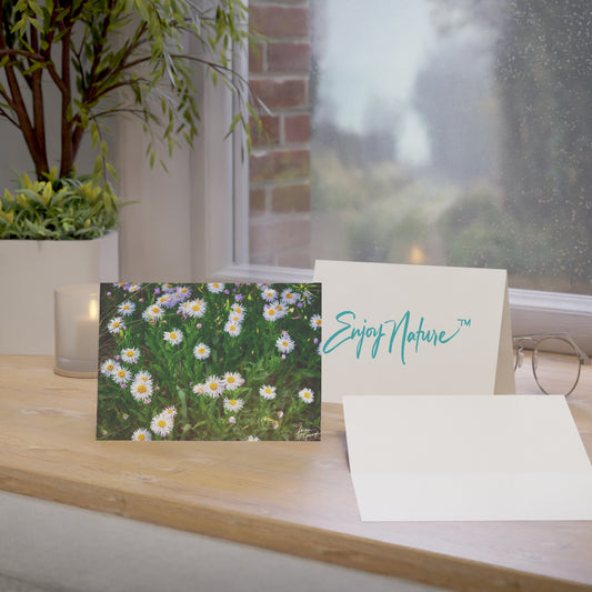 Floral Wild Daisies Greeting Cards | Eco-Friendly Nature-Inspired 5x7 Note Card Set of 50 | Perfect for Birthdays, Thank You & Everyday Messages