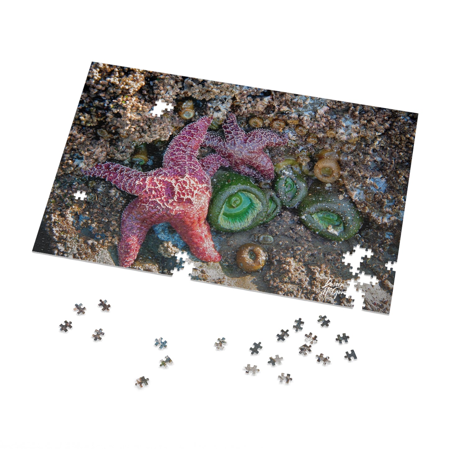 Ocean Life Jigsaw Puzzle – 1000 Piece Starfish Edition