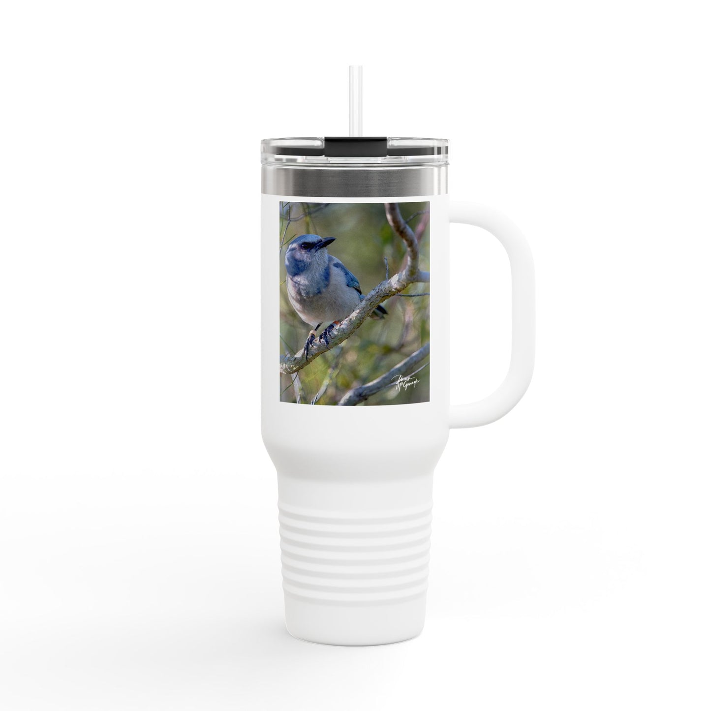 Florida Scrub Jay Insulated Travel Mug – 40oz Stainless Steel Wildlife-Inspired Drinkware