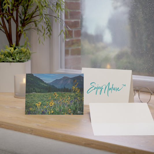 Nature-Themed Greeting Cards | Eco-Friendly Boxed 5x7 Note Cards with Yellow Daisies & Colorado Mountains | Ideal for Birthdays, Thank You, & Special Occasions