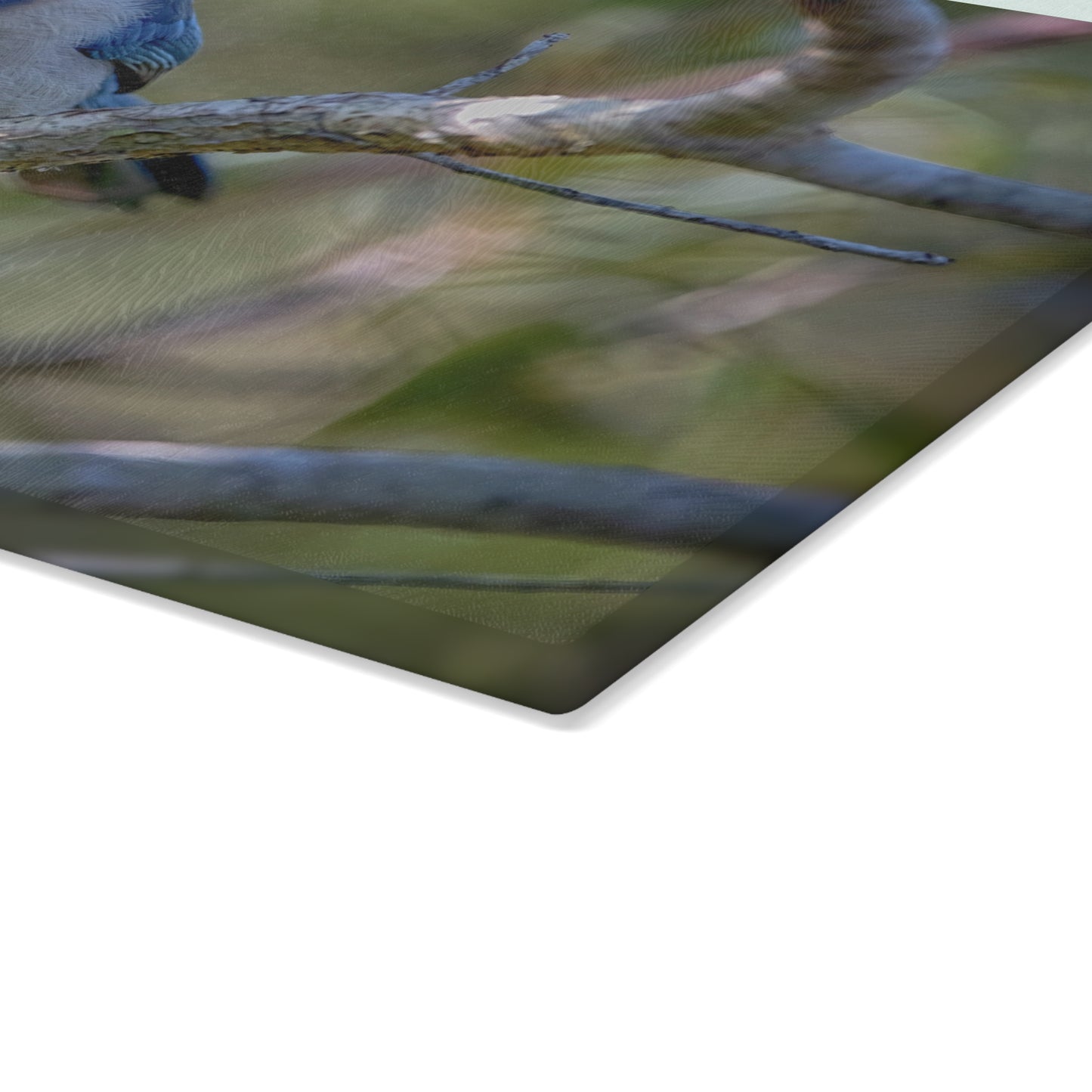 Scrub Jay Glass Cutting Board – Vibrant Florida Wildlife Kitchen Decor | Enjoy Nature Collection