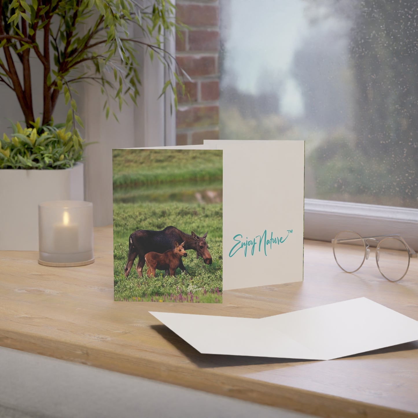Box of 50 Moose and Baby Greeting Cards | Nature-Themed 5x7 Note Cards | Eco-Friendly Wildlife Stationery for Nature Lovers & Special Occasions