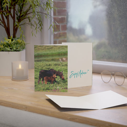 Box of 50 Moose and Baby Greeting Cards | Nature-Themed 5x7 Note Cards | Eco-Friendly Wildlife Stationery for Nature Lovers & Special Occasions