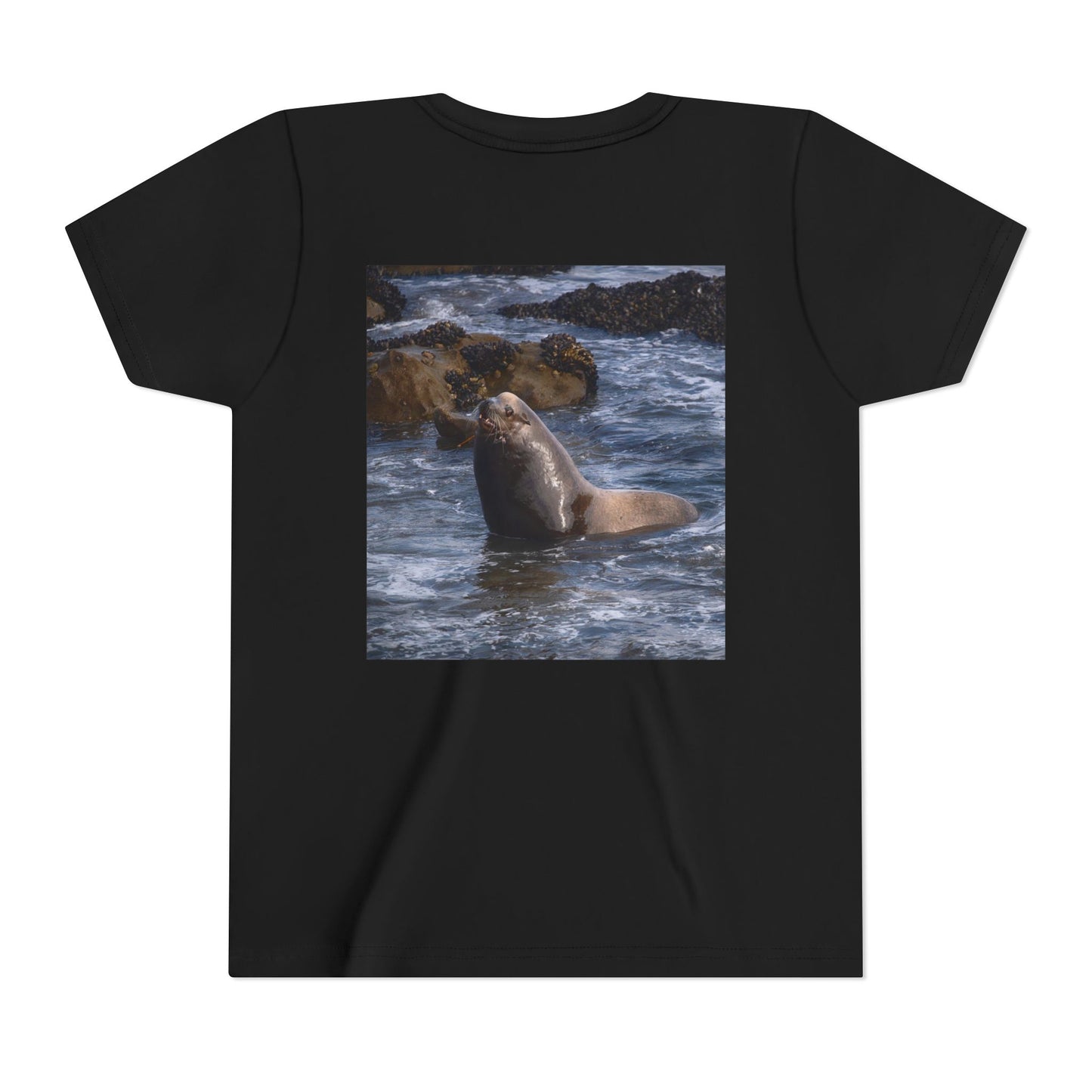 Youth T shirts Young Sea Virtuoso Sea Lion, t shirts for kids, inspired by nature
