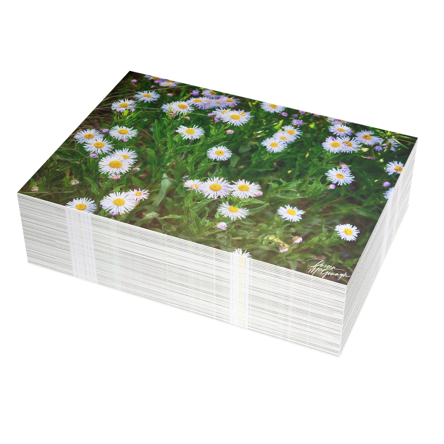 Floral Wild Daisies Greeting Cards | Eco-Friendly Nature-Inspired 5x7 Note Card Set of 50 | Perfect for Birthdays, Thank You & Everyday Messages