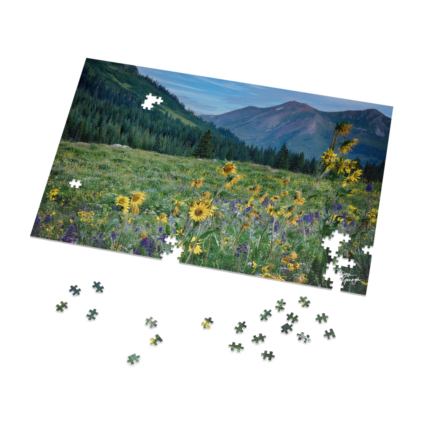 Scenic Jigsaw Puzzle with Tin - Nature Lovers Gift, Home Decor, Family Game Night, Educational Activity, Puzzle Enthusiast Mountains & flowers