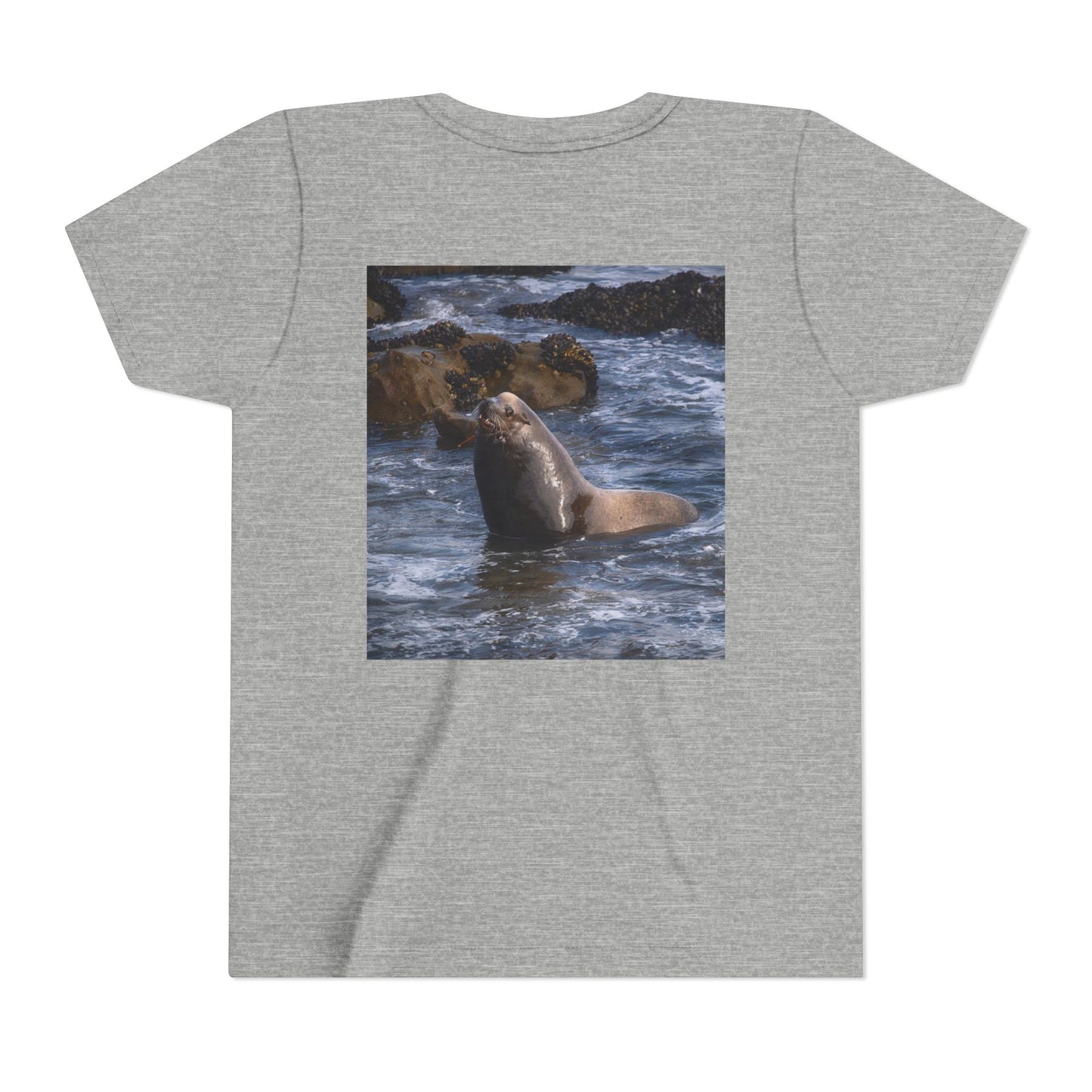 Youth T shirts Young Sea Virtuoso Sea Lion, t shirts for kids, inspired by nature