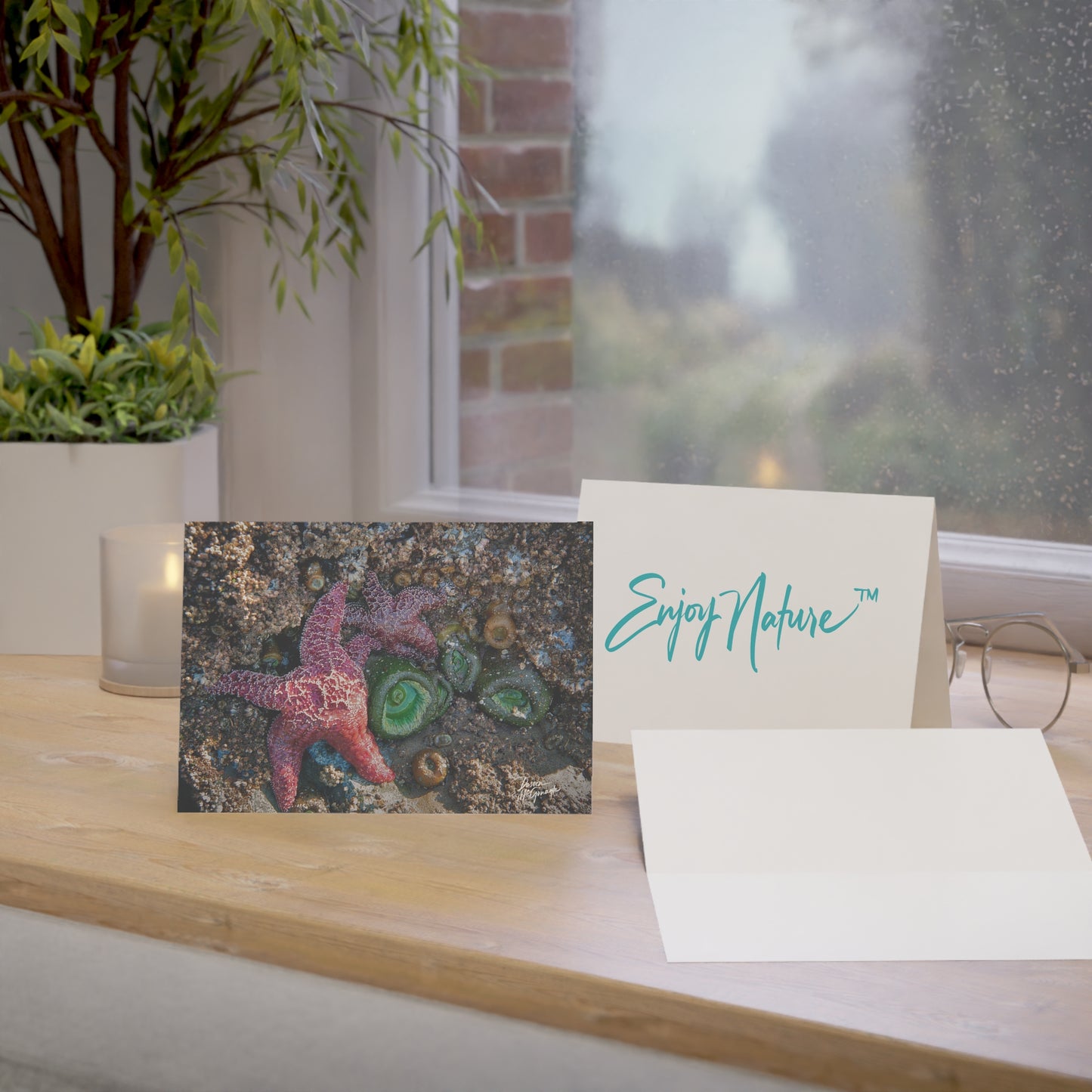 Marine Life Starfish Greeting Card Set – Nature-Inspired Stationery for Every Occasion | 5x7 note cards