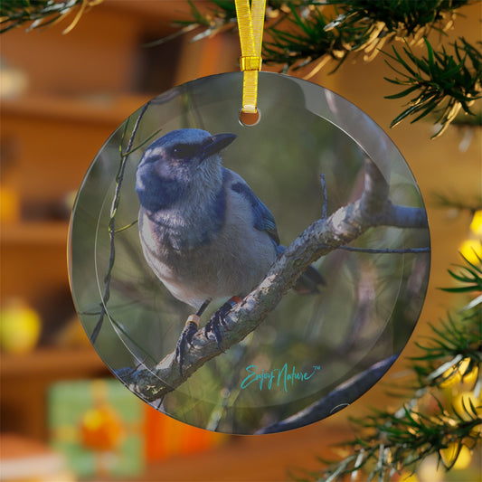 Scrub Jay Glass Ornament – Vibrant Wildlife Holiday Decor | Florida Native Bird | Enjoy Nature Collection