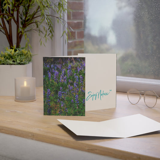 Enjoy Nature Collection – Wild Purple Lupines Greeting Cards | 5x7 Note Card Sets of 10, 30, 50 | Eco-Friendly Gifts for Nature Lovers
