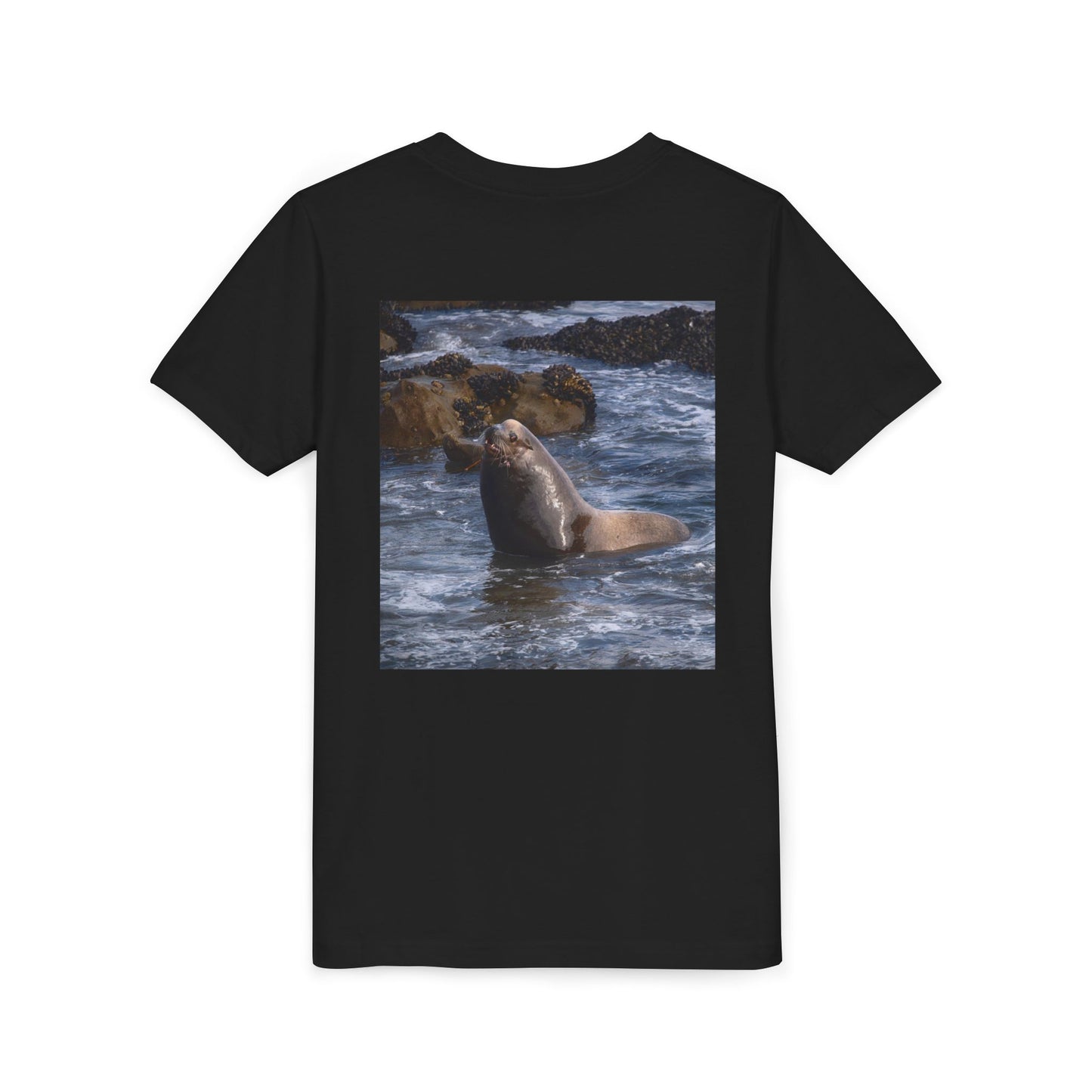 Youth T shirts Young Sea Virtuoso Sea Lion, t shirts for kids, inspired by nature
