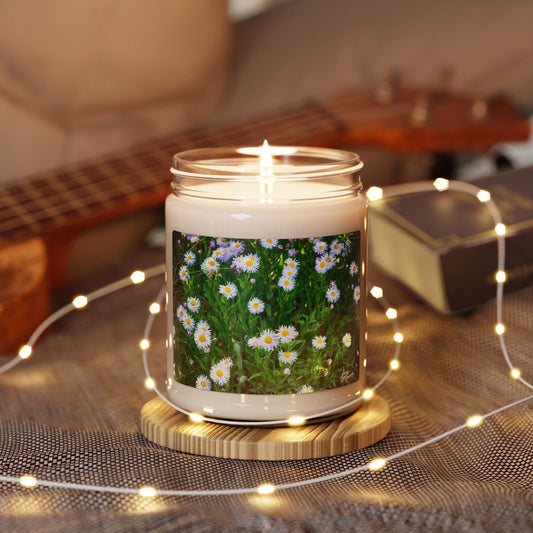 Floral Breeze of Wild Daisies Soy Candle, Aromatherapy Candle, Home Decor, Relaxation Gift, Eco-friendly Gift