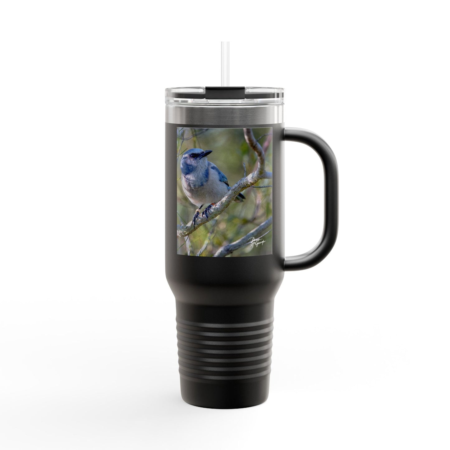 Florida Scrub Jay Insulated Travel Mug – 40oz Stainless Steel Wildlife-Inspired Drinkware