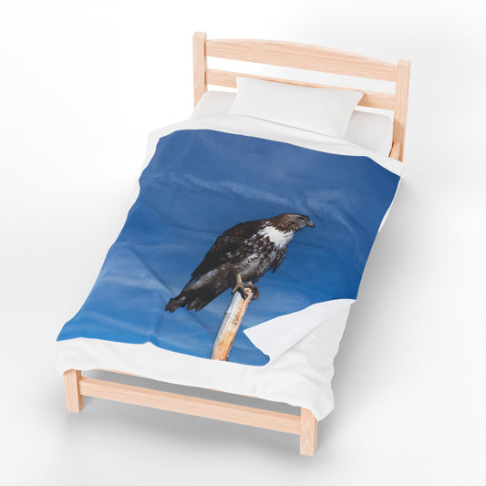 Osprey Velveteen Plush Blanket – Nature-Inspired Comfort for Bird and Wildlife Lovers