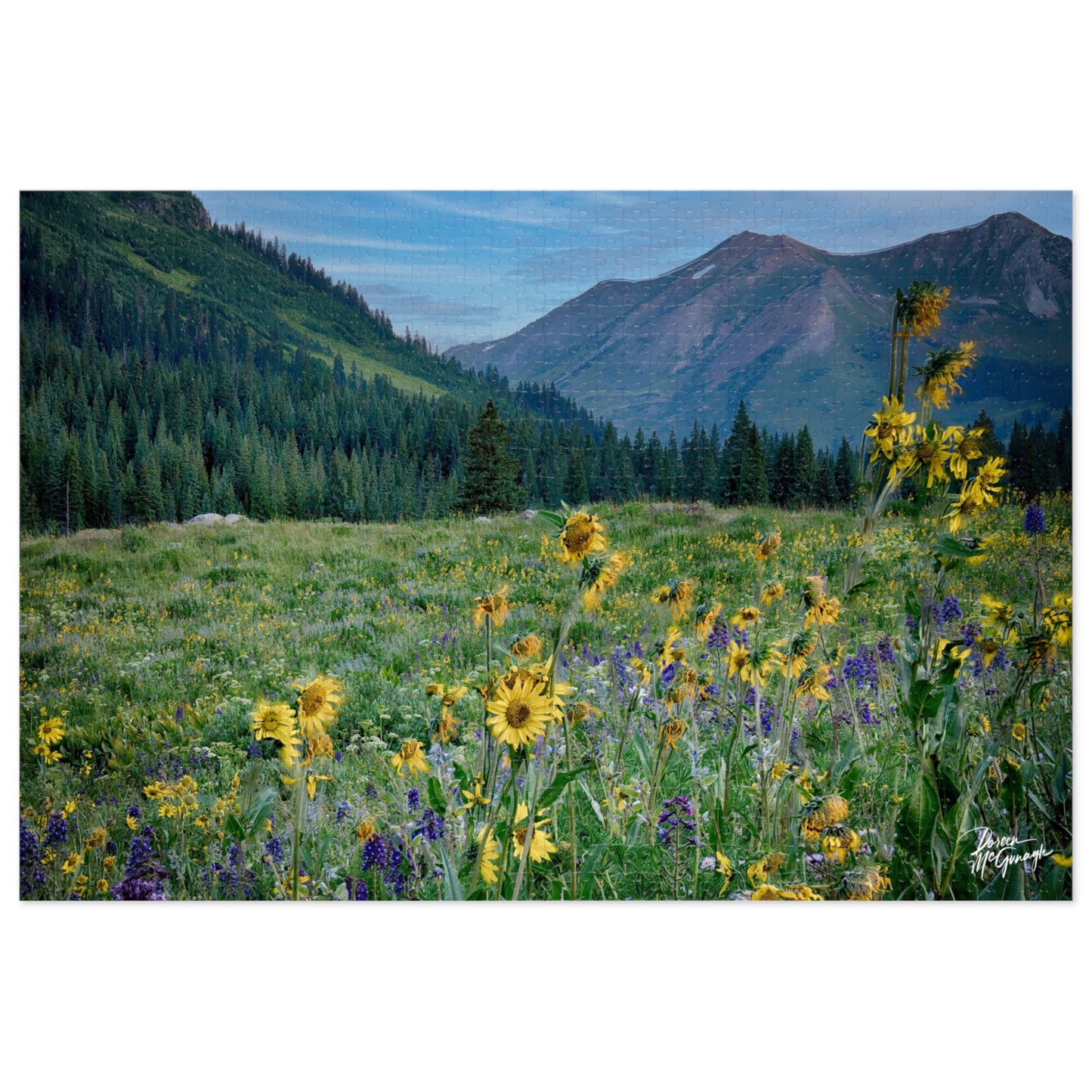Scenic Jigsaw Puzzle with Tin - Nature Lovers Gift, Home Decor, Family Game Night, Educational Activity, Puzzle Enthusiast Mountains & flowers