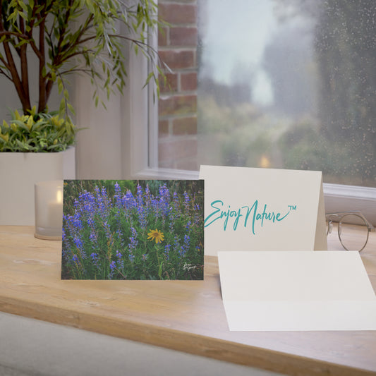 Box of 50 Nature-Inspired Greeting Cards | Wild Lupines & Daisy Design | Scenic 5x7 Note Cards, Handmade Stationery for Nature Lovers & All Occasions